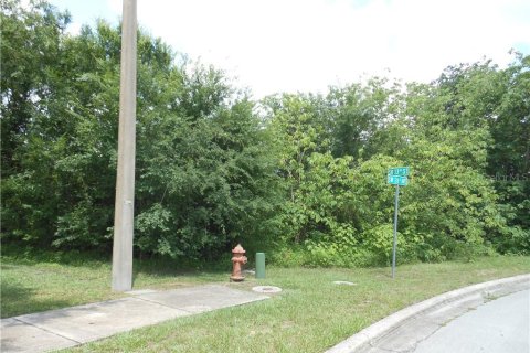 Land in Ocala, Florida № 213442 - photo 11