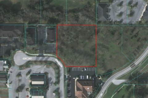 Land in Ocala, Florida № 213442 - photo 3