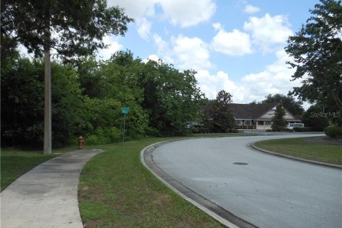 Land in Ocala, Florida № 213442 - photo 12
