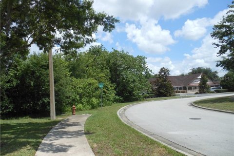 Land in Ocala, Florida № 213442 - photo 5