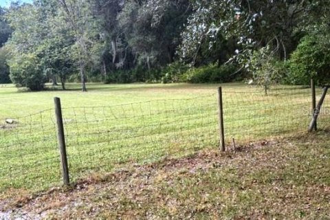 Casa en venta en Arcadia, Florida, 3 dormitorios, 163.97 m2 № 2435136 - foto 5