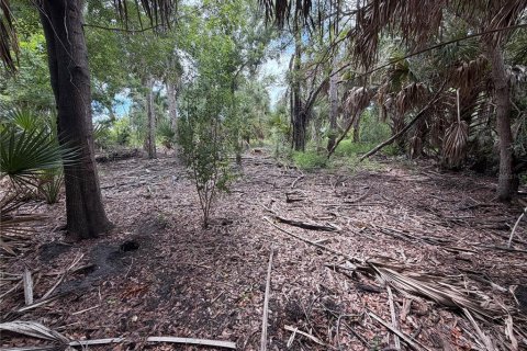 Land in Punta Gorda, Florida № 2376749 - photo 3