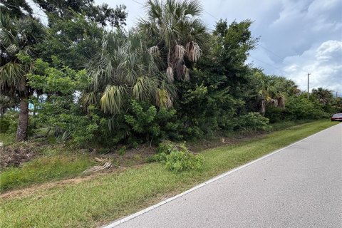 Land in Punta Gorda, Florida № 2376749 - photo 7