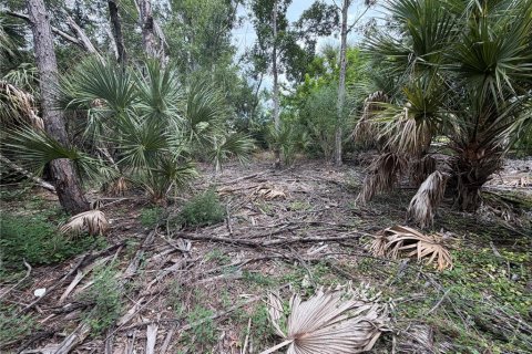 Land in Punta Gorda, Florida № 2376749 - photo 4