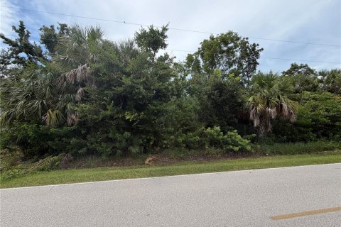 Land in Punta Gorda, Florida № 2376749 - photo 2