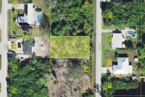 Land in Punta Gorda, Florida № 2376749