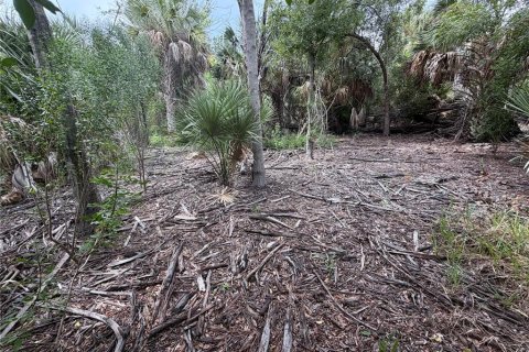 Land in Punta Gorda, Florida № 2376749 - photo 6