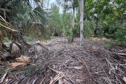 Land in Punta Gorda, Florida № 2376749 - photo 5
