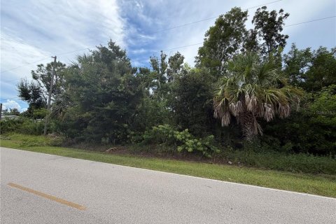 Land in Punta Gorda, Florida № 2376749 - photo 8