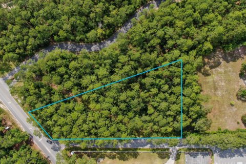 Land in Santa Rosa Beach, Florida № 558357 - photo 1