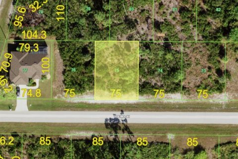 Land in Placida, Florida № 2330158