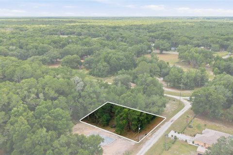 Land in Dunnellon, Florida № 2159055