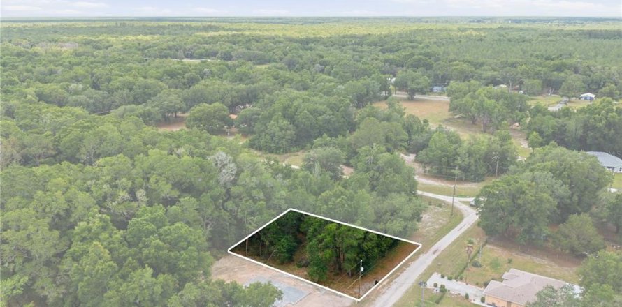 Land in Dunnellon, Florida № 2159055