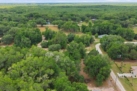 Land in Dunnellon, Florida № 2159055 - photo 7