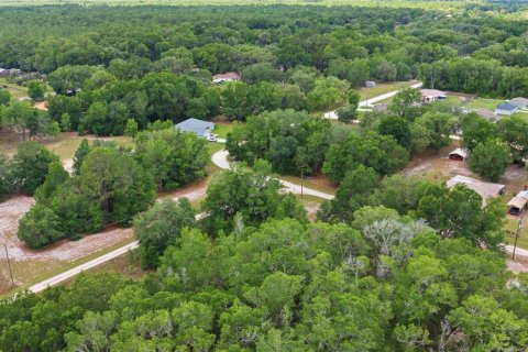 Land in Dunnellon, Florida № 2159055 - photo 6
