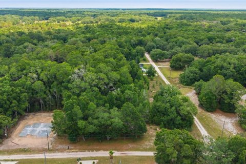 Land in Dunnellon, Florida № 2159055 - photo 9