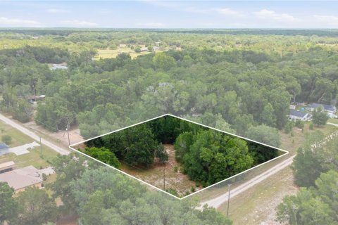 Land in Dunnellon, Florida № 2159055 - photo 10