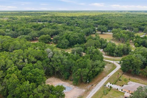 Land in Dunnellon, Florida № 2159055 - photo 8