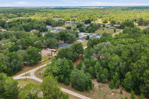 Land in Dunnellon, Florida № 2159055 - photo 4