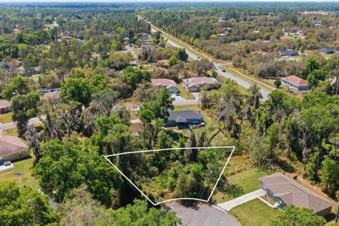 Land in Ocala, Florida № 2160622