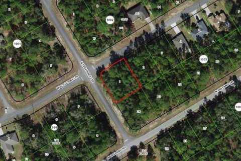 Land in Citrus Springs, Florida № 2362689