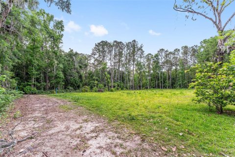 Land in Alachua, Florida № 1640105 - photo 9