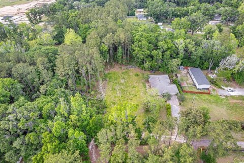Land in Alachua, Florida № 1640105 - photo 17