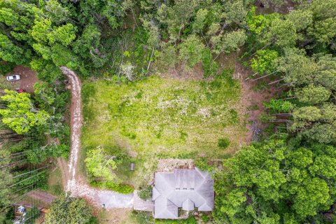 Land in Alachua, Florida № 1640105 - photo 21