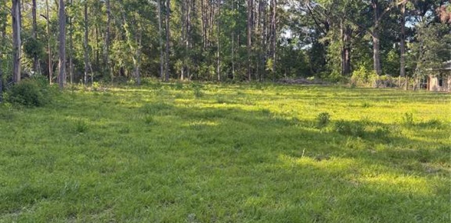 Land in Alachua, Florida № 1640105