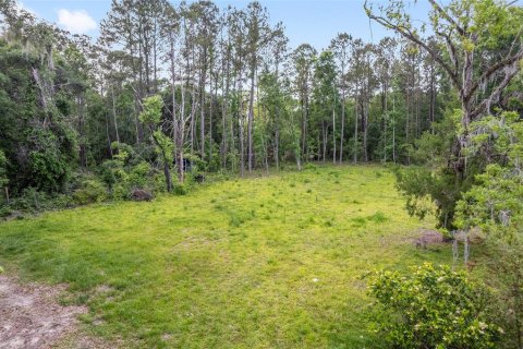 Land in Alachua, Florida № 1640105 - photo 11