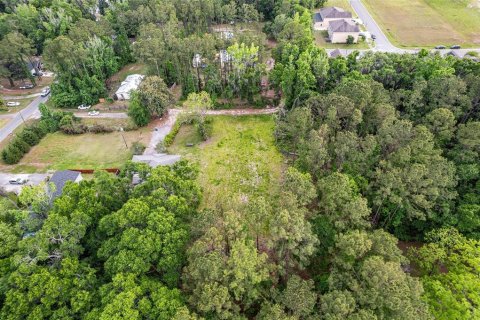 Land in Alachua, Florida № 1640105 - photo 19