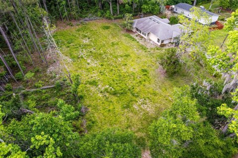 Land in Alachua, Florida № 1640105 - photo 13