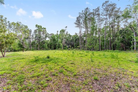 Land in Alachua, Florida № 1640105 - photo 8