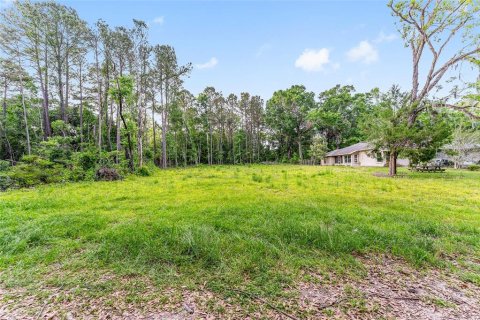 Land in Alachua, Florida № 1640105 - photo 2