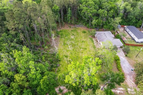 Land in Alachua, Florida № 1640105 - photo 10