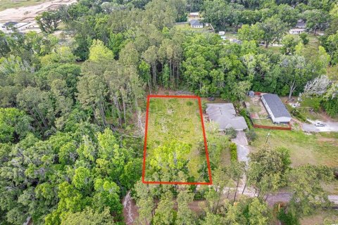 Land in Alachua, Florida № 1640105 - photo 3