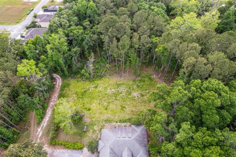 Land in Alachua, Florida № 1640105 - photo 20