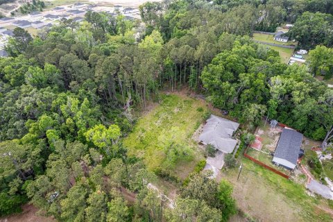 Land in Alachua, Florida № 1640105 - photo 16