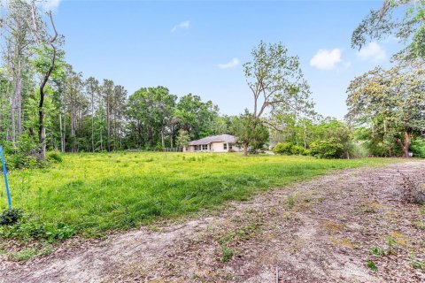 Land in Alachua, Florida № 1640105 - photo 6