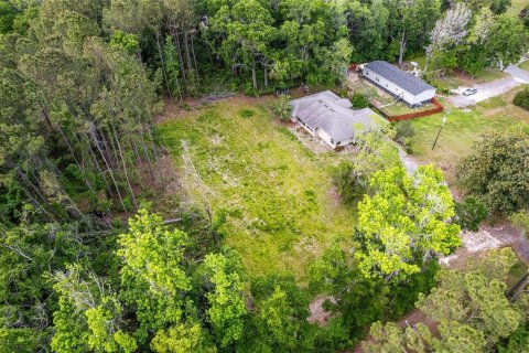 Land in Alachua, Florida № 1640105 - photo 14