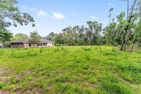 Land in Alachua, Florida № 1640105 - photo 7