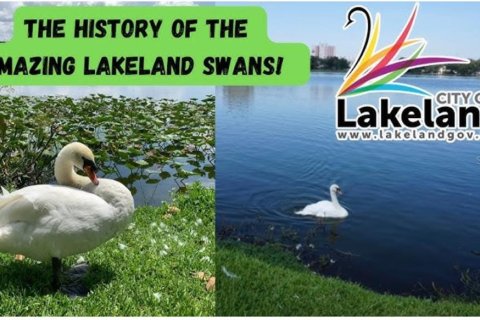 Land in Lakeland, Florida № 1915532 - photo 26