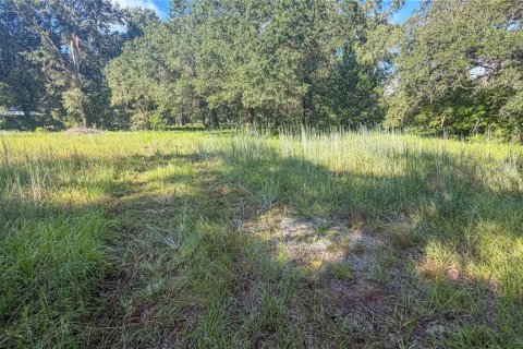 Land in Hawthorne, Florida № 2369251