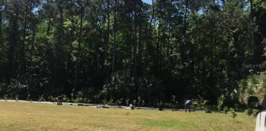 Terrain à Kissimmee, Floride № 1549917