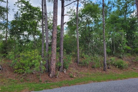 Land in Fort White, Florida № 1614572 - photo 1