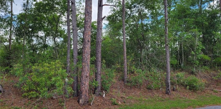 Land in Fort White, Florida № 1614572