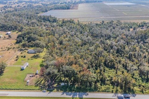 Terrain à vendre à Fish Hawk, Floride № 2123809 - photo 14