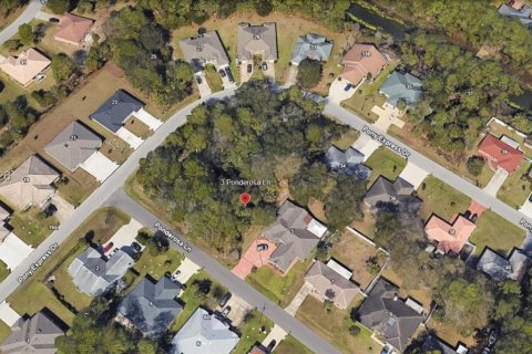 Terrain à Palm Coast, Floride № 2170266