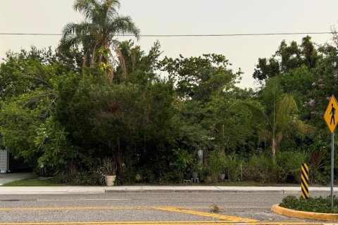 Land in Saint Petersburg, Florida № 1834684 - photo 1