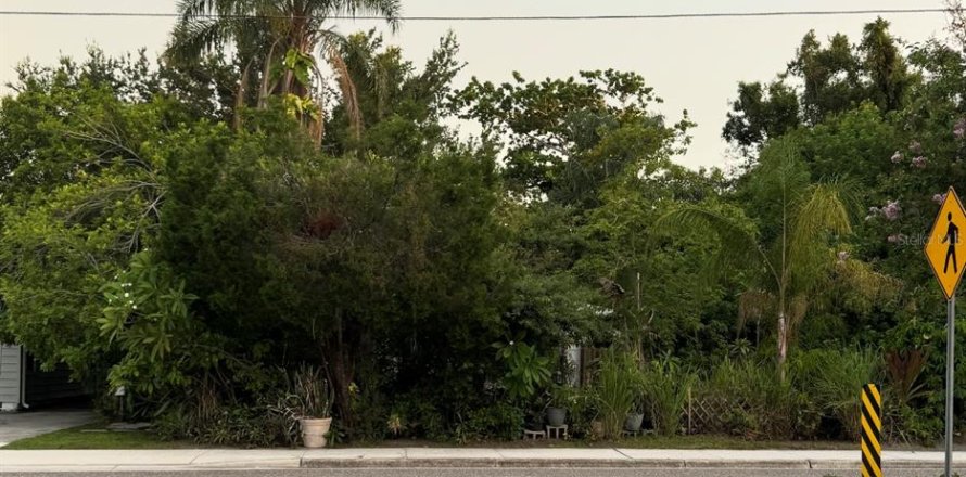 Terreno en Saint Petersburg, Florida № 1834684